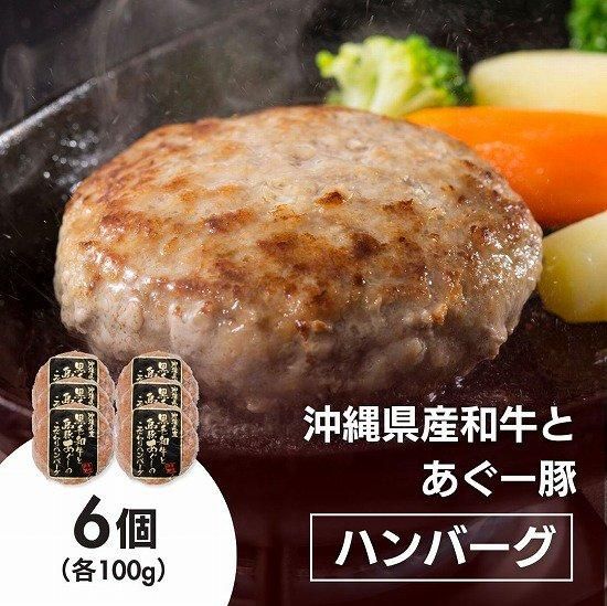 沖縄県産和牛とあぐー豚のこだわりハンバーグ100g×6個【送料無料】
