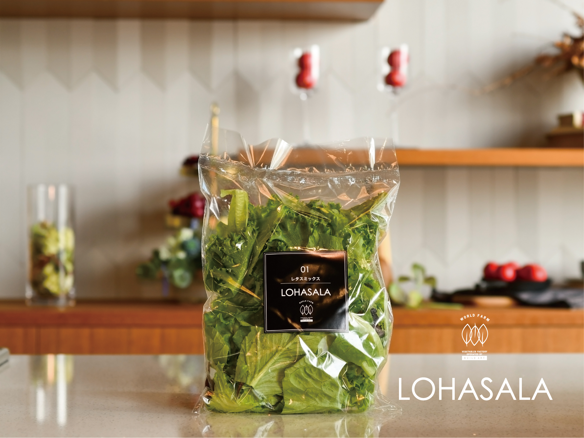 LOHASALA　レタスミックス小分け　5個×100g　無洗LED栽培野菜