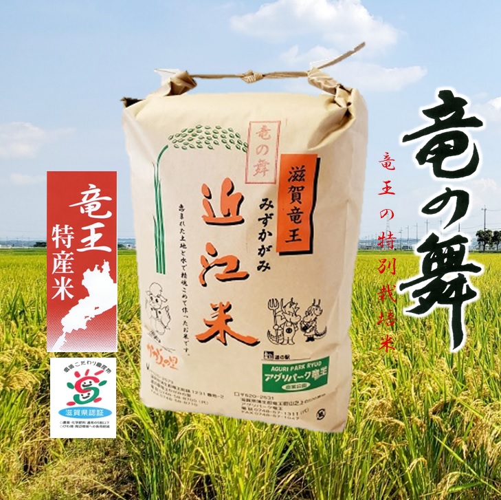 竜の舞 みずかがみ