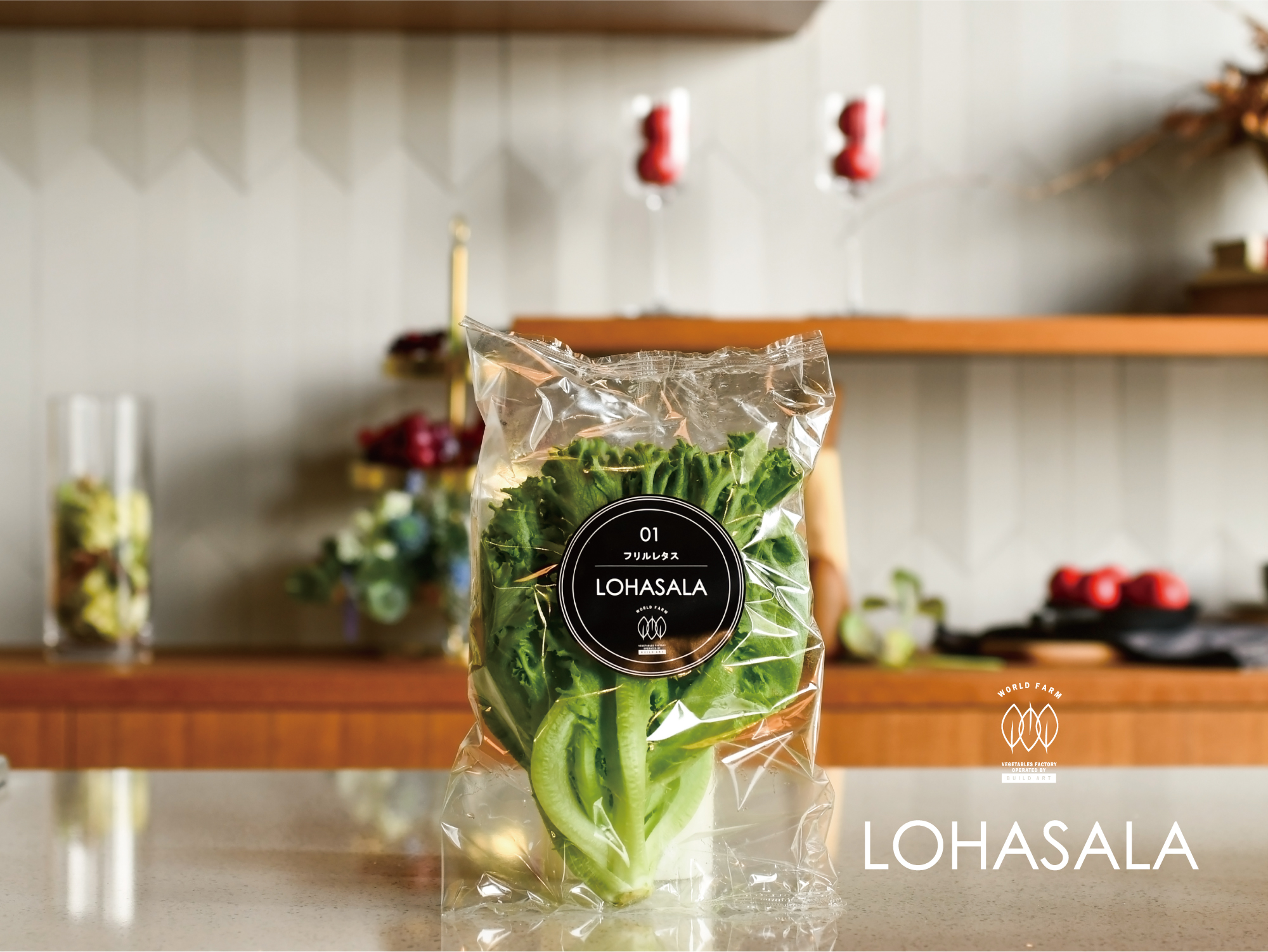 LOHASALA　フリルレタス6個　洗わずに食べられるLED栽培野菜